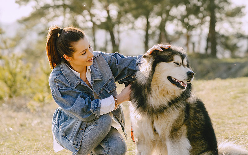 A girl in a denim jacket pat her dog | Careers Collectiv