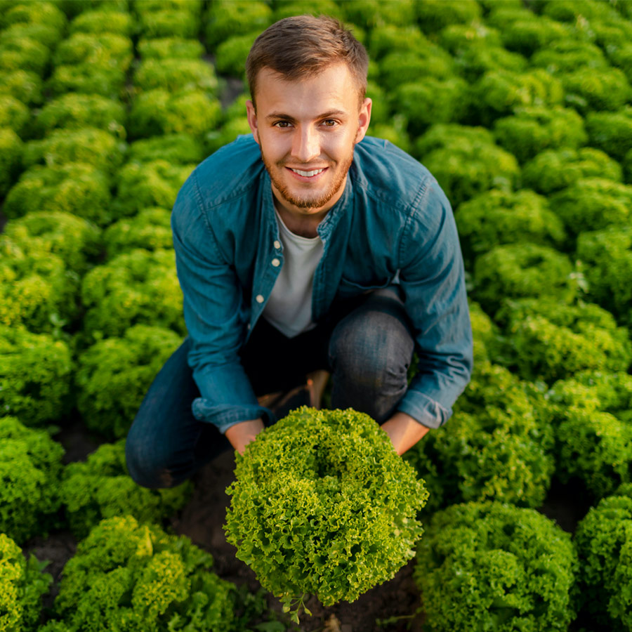 A man holding lettuce while smiling | Careers Collectiv
