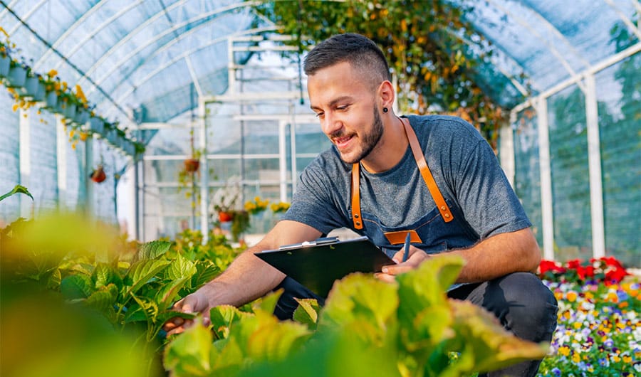 Man harvesting in his garden while smiling | Careers Collectiv