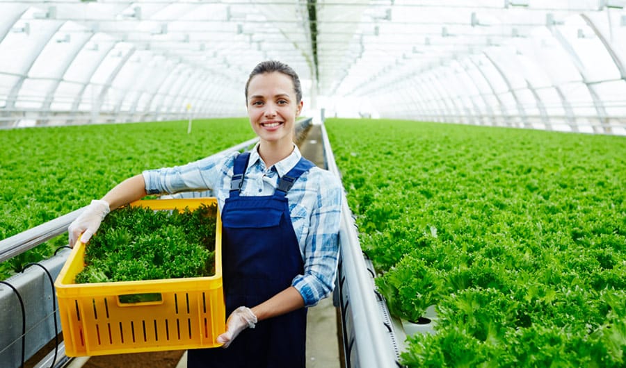 A woman smiling infront the came while carrying her harvested vegetables in a basket | Careers Collectiv