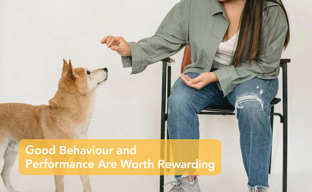 Good Behaviour and Performance Are Worth Rewarding | Careers Collectiv