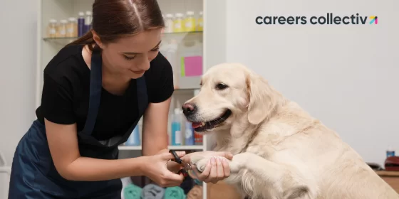 Dog Groomer 2025