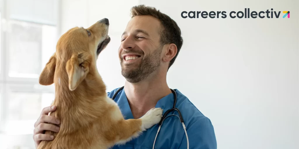 Dog Grooming Career