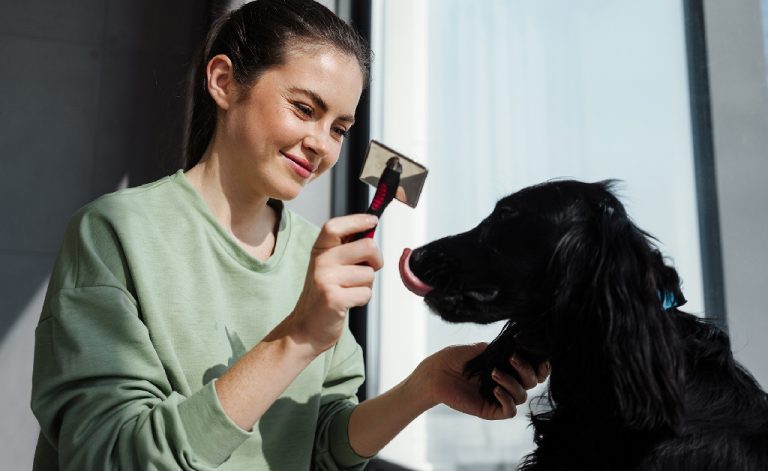 Embarking on a Career in Dog Grooming: Training Pathways and Courses For Success-Practical Training and Hands-On Experience | Careers Collectiv