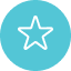 Blue star icon | Careers Collectiv