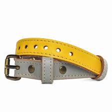 Leather Collars for dogs