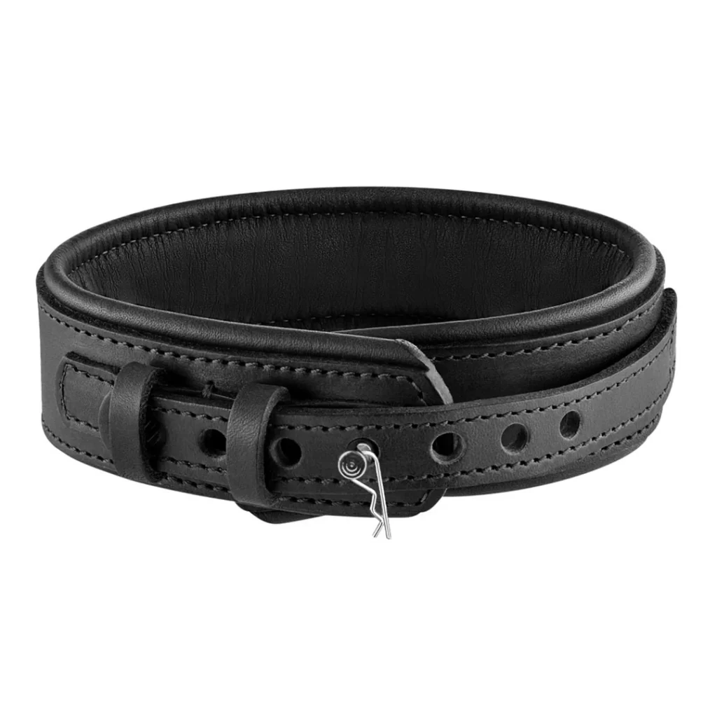 Neoprene Collar for Dog