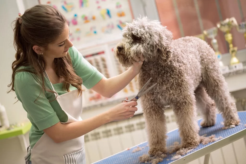 Dog Grooming