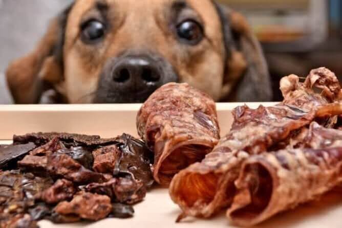 Alternatives to Beef Liver — Other Organ Meats Dogs Can Eat