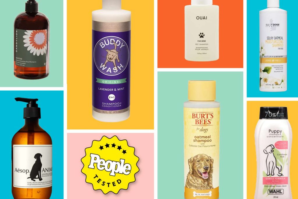 Best Products for Keeping Dogs Smelling Fresh