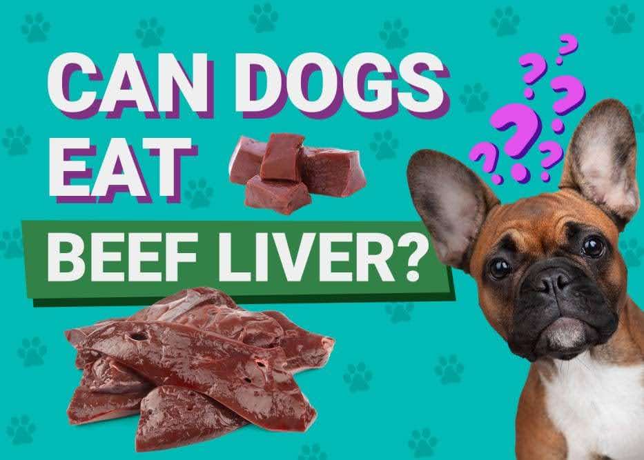 Can Beef Liver Be Bad for Dogs? Understanding the Risks