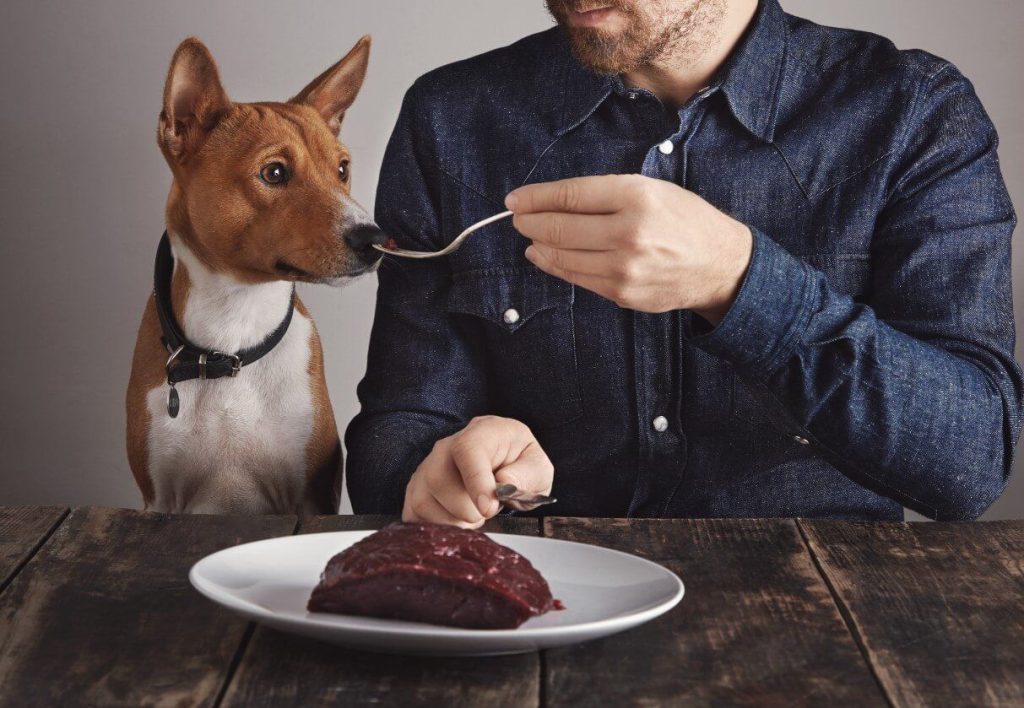 Is Beef Liver Good for Dogs or Bad? Here’s What to Know
