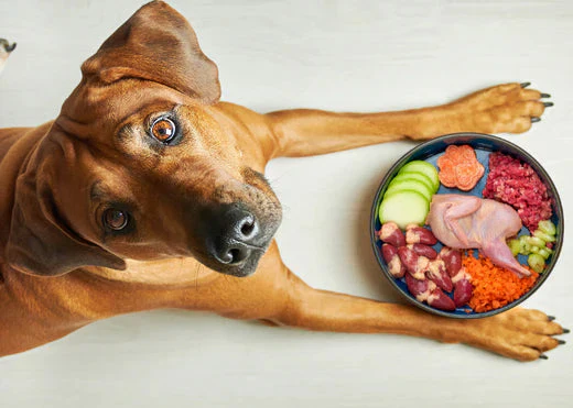 Diet and Health: Preventing Odors Before They Start