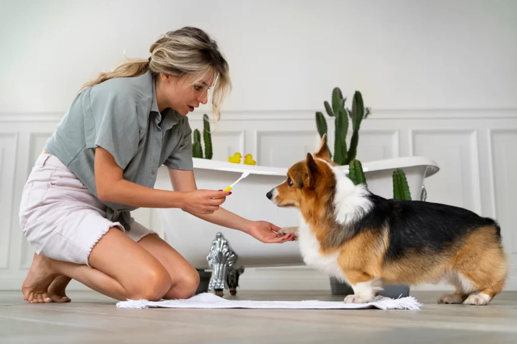 Maintaining a Clean Environment to Reduce Dog Odor