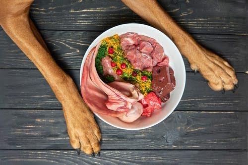 Why People Feed Organ Meats Like Liver to Dogs