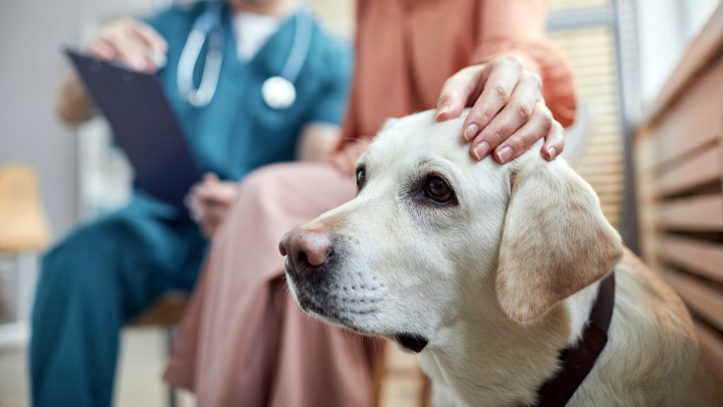 Post-Vaccine Care: What You Can Do