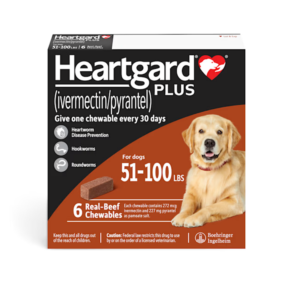 Why Monthly Heartworm Medicine Is Often Recommended