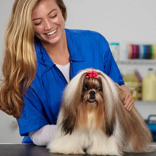 Add-On Services That May Be Included in a Full Groom