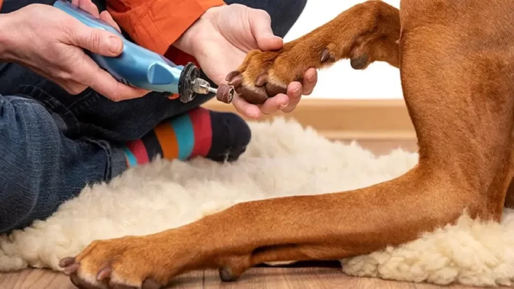 Alternatives to Traditional Nail Trimming