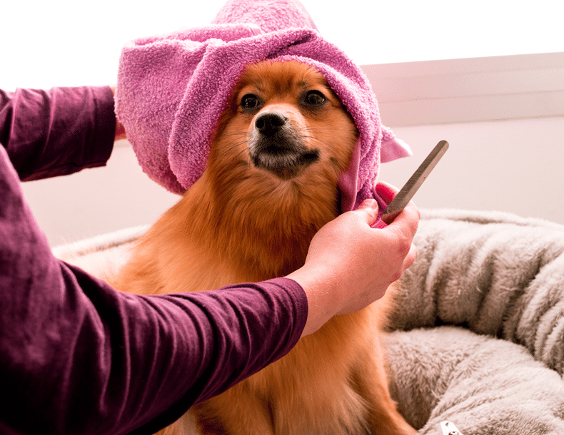 Are You Cleaning Too Much? Here’s How to Tell