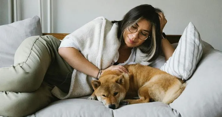 Breed-Specific Grooming Anxiety: Not All Dogs React the Same