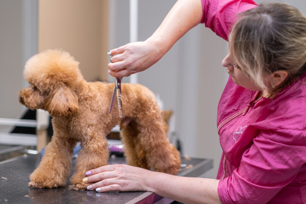 Breed-Specific Prep Tips You Might Not Know