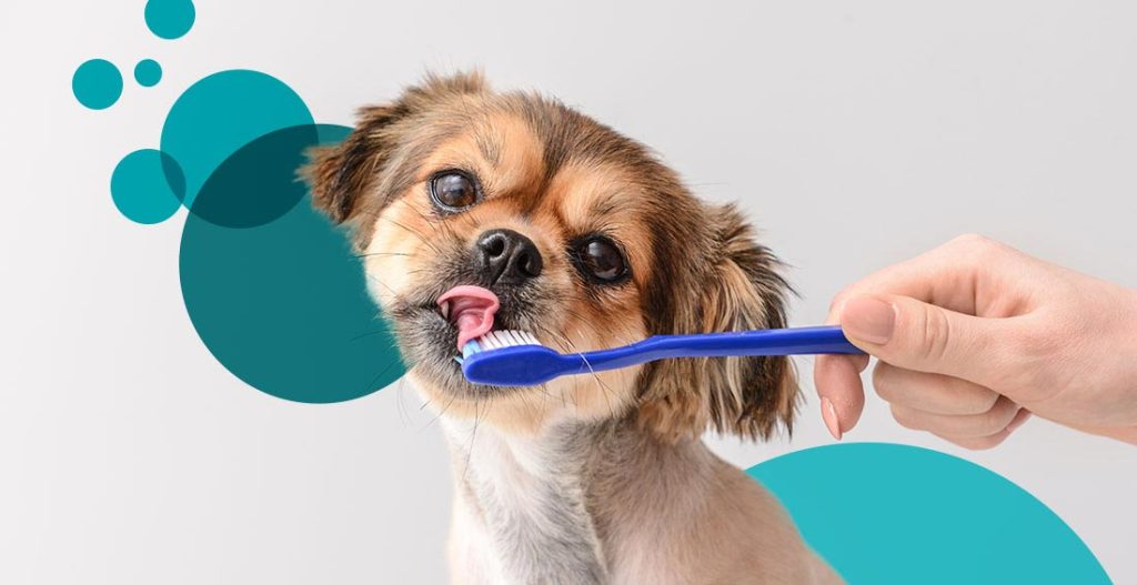 Brushing Before Bathing