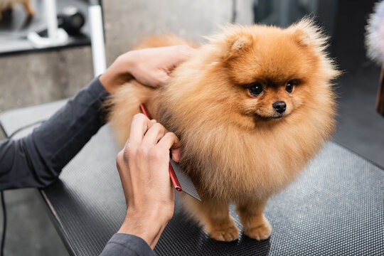 Building a Daily Brushing Routine That Works