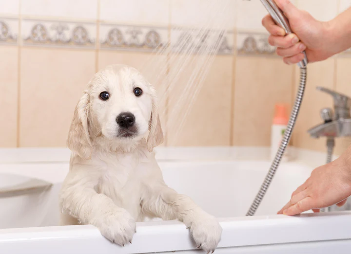 Careers Collectiv’s Advice: Prioritise Skin-Safe Grooming