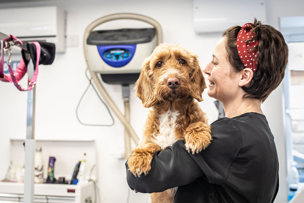 Dog Grooming Anxiety: Why It Happens and What to Look For