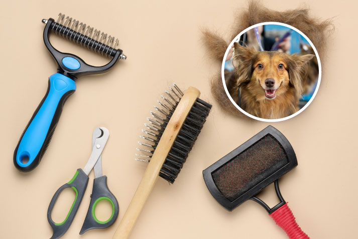Essential Tools Every First-Time Dog Owner Should Have