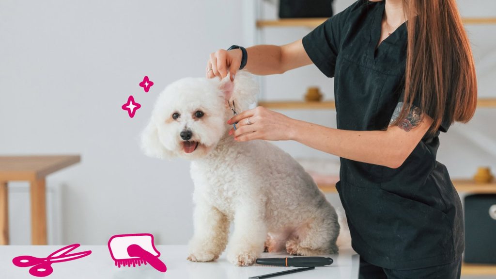 Grooming the Hair Around the Ears