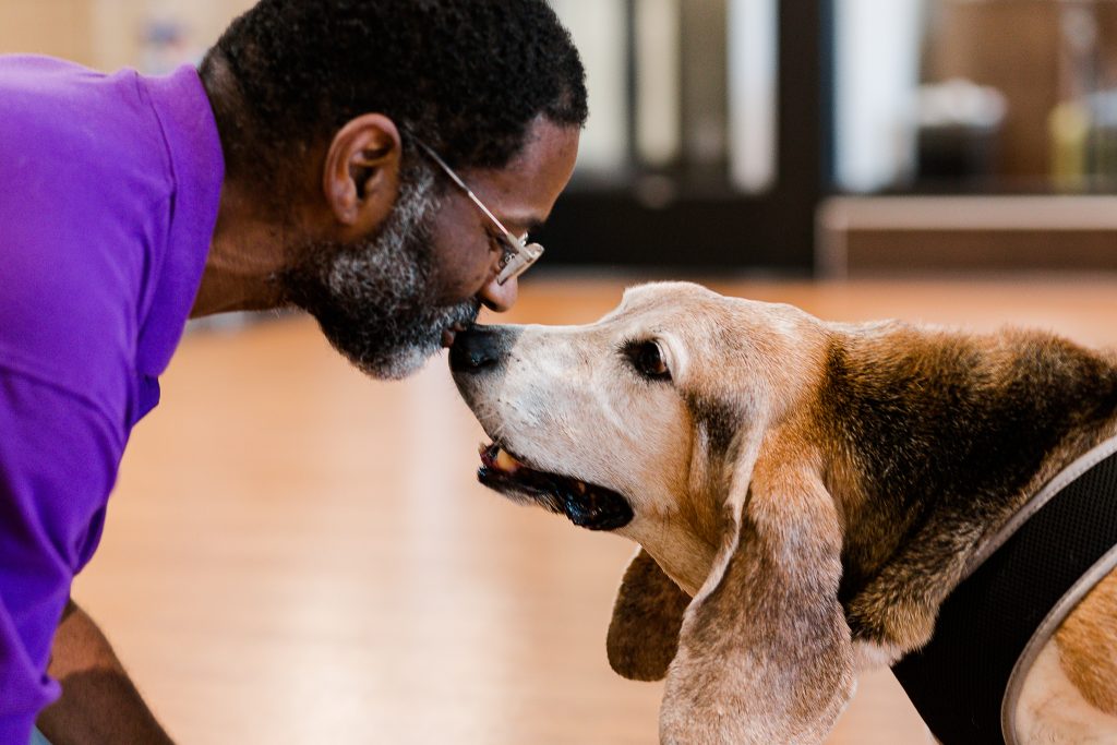 How Grooming Can Strengthen the Bond with Your Dog