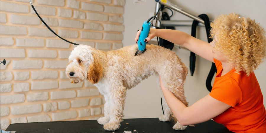 Mistakes That Make Groomers’ Jobs Harder