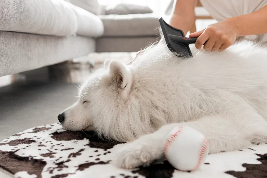 Must-Have Tools and Products to Prevent Tangles