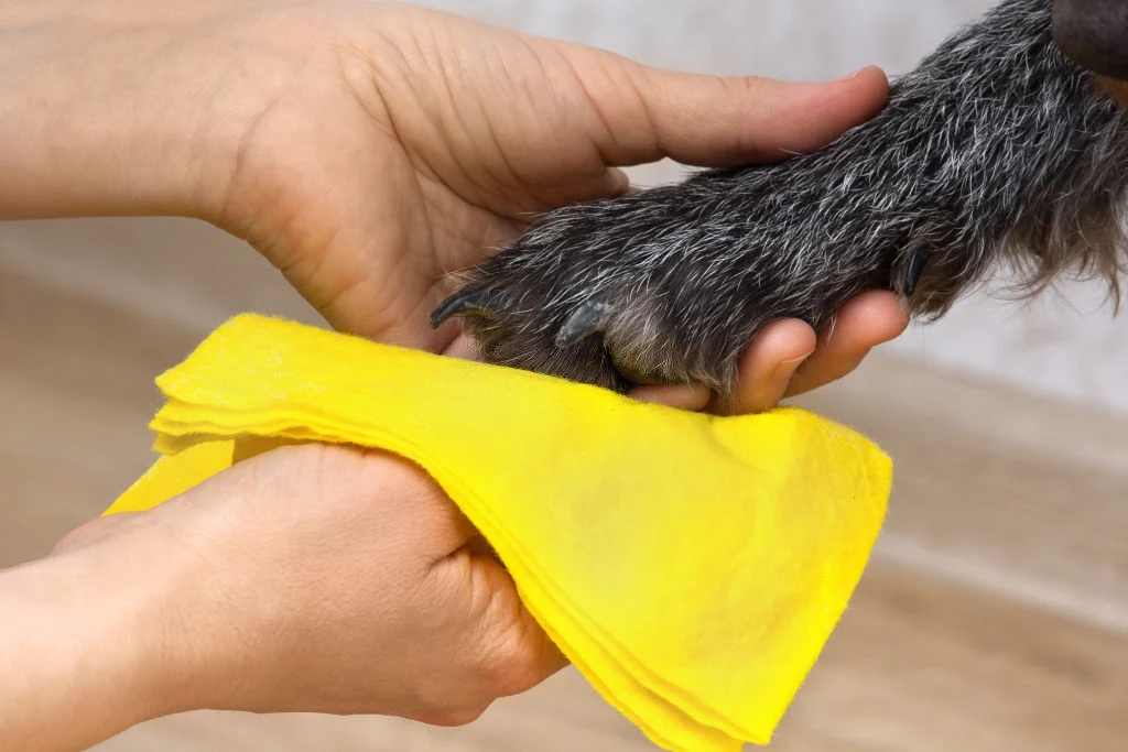 Natural and DIY Paw Cleaning Solutions