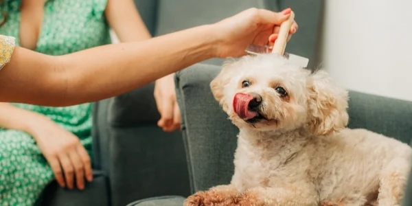 Preventing Tangled Fur in the Future