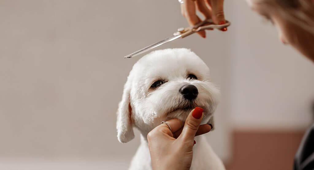 Sample Weekly Grooming Routine (Checklist Format)