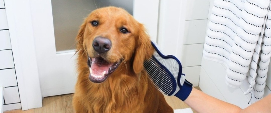 Step-by-Step Grooming Routine