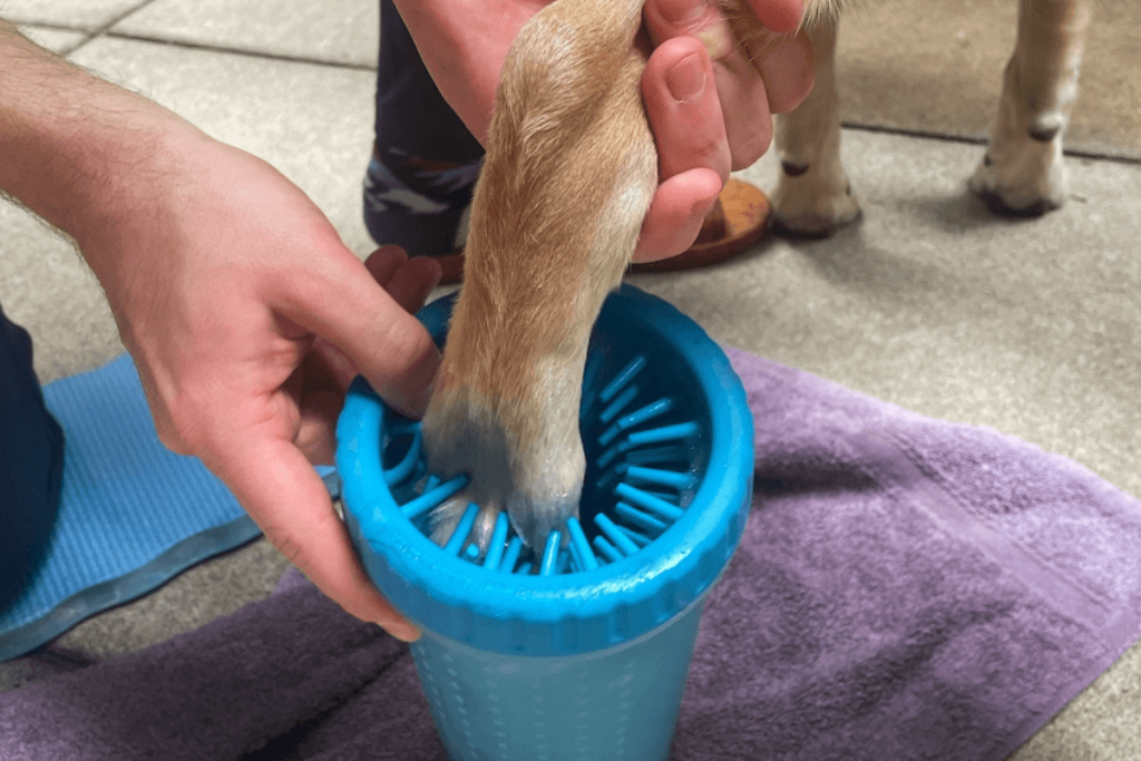 Step-by-Step Guide to Safely Cleaning Between Toes