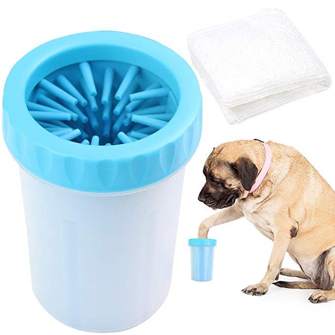 Tools and Products for Safe Paw Cleaning