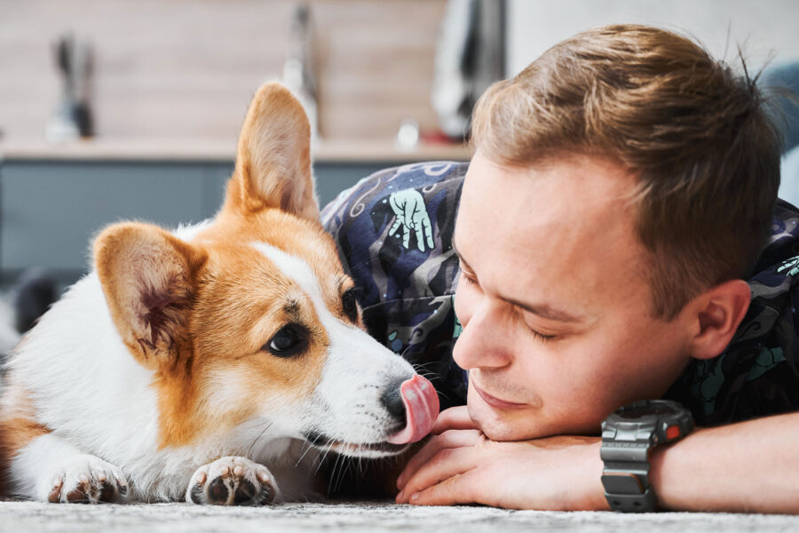 Understanding the Mind-Body Connection in Dogs