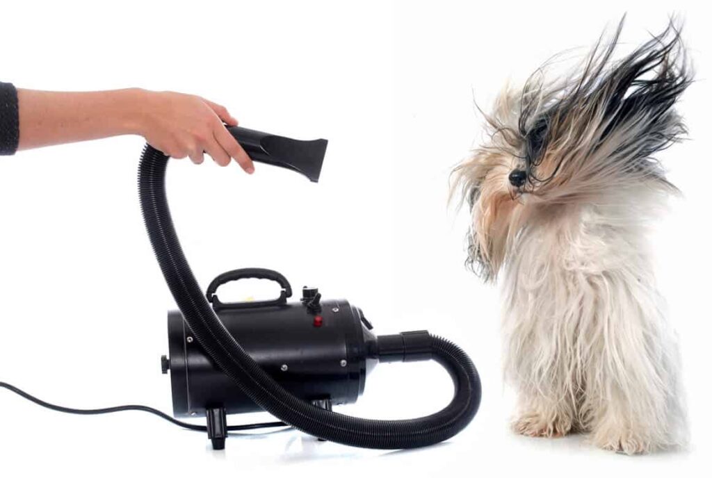 Using the Wrong Products