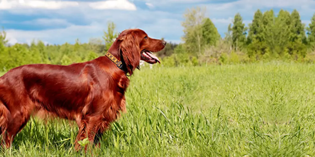 Weather, Activity, and Lifestyle Factors