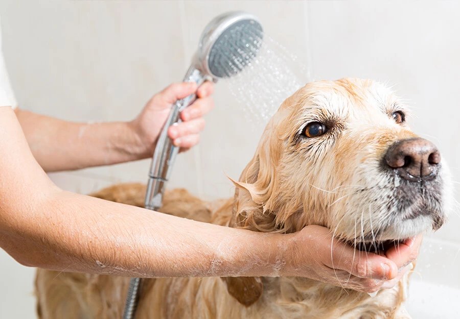 When Is a Home Wash Enough?