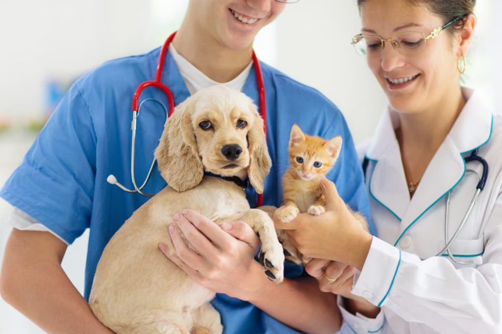 When It’s Time to See a Vet