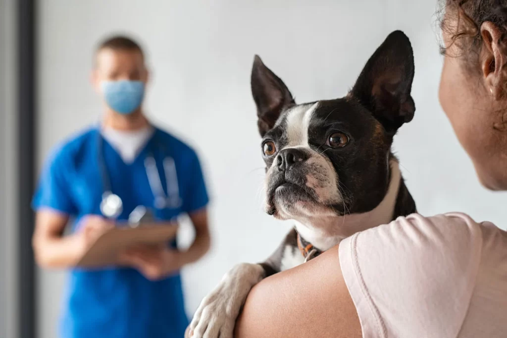 When to Contact a Veterinarian
