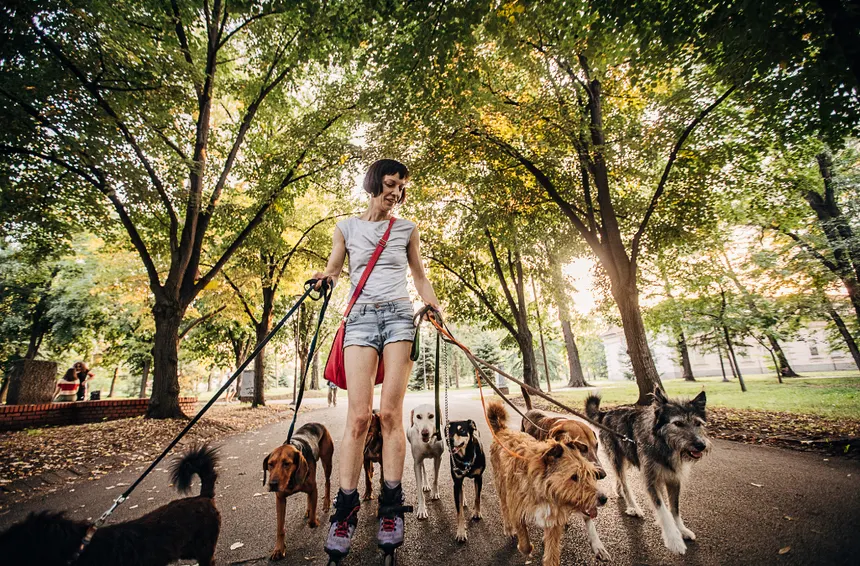 Which Dog Breeds Benefit More from Mobile Grooming?