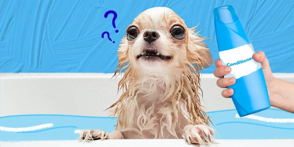 Why Conditioning Matters for Dogs