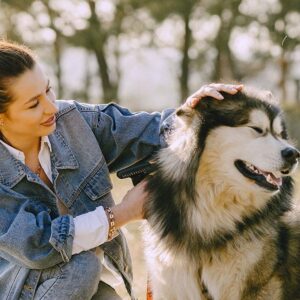 Certificate in animal welfare